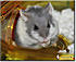 Click image for larger version. 

Name:	03.jpg 
Views:	96 
Size:	189.6 KB 
ID:	61507