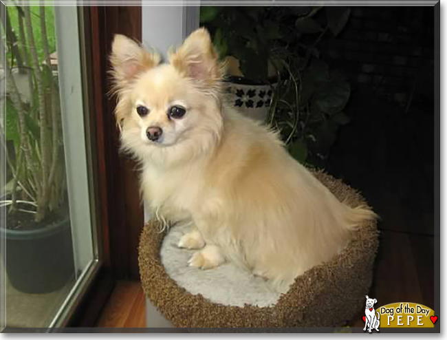 Name:  03.jpg
Views: 202
Size:  137.2 KB