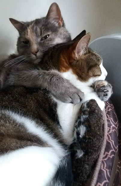 Name:  bffs.jpg
Views: 224
Size:  66.9 KB