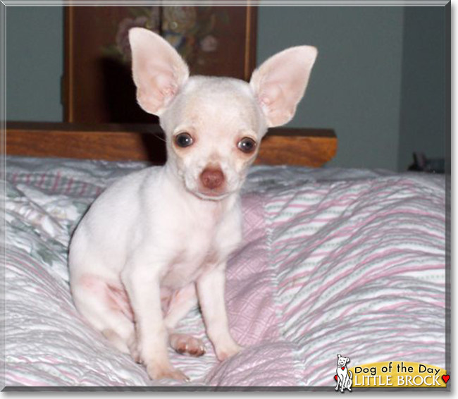 Name:  18.jpg
Views: 224
Size:  174.8 KB