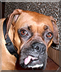 Name:  large.jpg
Views: 163
Size:  15.2 KB