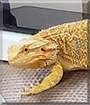 Name:  large (1).jpg
Views: 133
Size:  12.4 KB