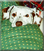 Name:  large.jpg
Views: 148
Size:  16.6 KB