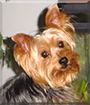 Name:  large (1).jpg
Views: 167
Size:  12.3 KB