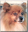 Name:  large.jpg
Views: 213
Size:  12.3 KB