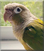 Name:  large (1).jpg
Views: 105
Size:  11.1 KB