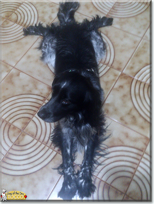 Name:  30h.jpg
Views: 210
Size:  608.7 KB