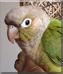 Name:  large (1).jpg
Views: 139
Size:  11.5 KB