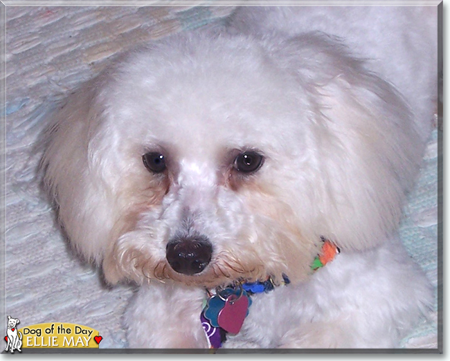 Name:  06.jpg
Views: 229
Size:  211.0 KB