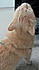 Click image for larger version. 

Name:	cp3.jpg 
Views:	125 
Size:	29.9 KB 
ID:	61613