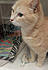 Click image for larger version. 

Name:	cp4.jpg 
Views:	125 
Size:	52.7 KB 
ID:	61614