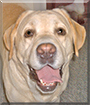 Name:  large.jpg
Views: 146
Size:  13.1 KB