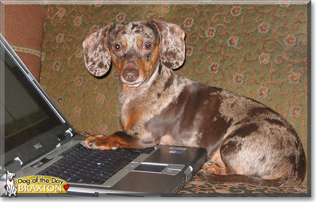 Name:  15b.jpg
Views: 152
Size:  285.3 KB