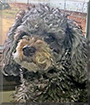 Name:  large.jpg
Views: 301
Size:  13.4 KB