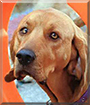 Name:  large.jpg
Views: 139
Size:  13.7 KB