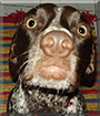 Name:  large.jpg
Views: 145
Size:  13.9 KB