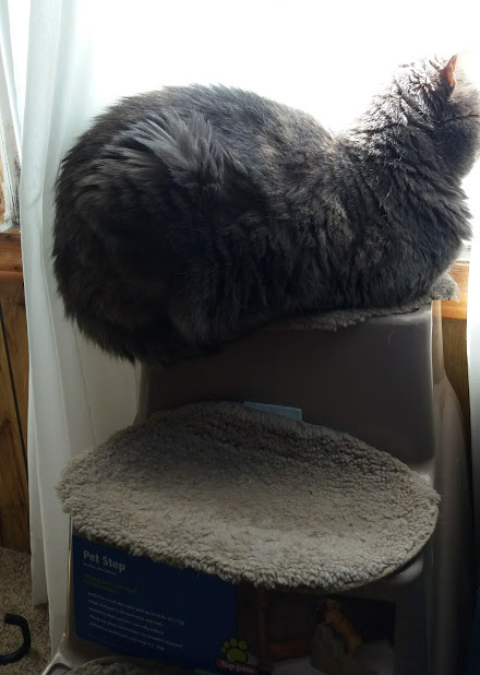 Name:  mkbutt.jpg
Views: 188
Size:  60.6 KB