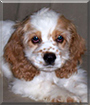 Name:  large (1).jpg
Views: 99
Size:  11.2 KB
