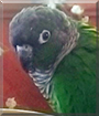 Name:  large.jpg
Views: 180
Size:  10.2 KB