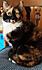 Click image for larger version. 

Name:	mintired.jpg 
Views:	114 
Size:	60.5 KB 
ID:	61679