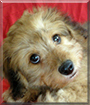 Name:  large.jpg
Views: 168
Size:  13.2 KB
