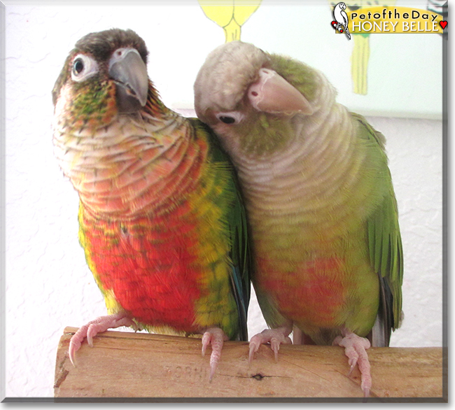 Name:  02d.jpg
Views: 144
Size:  252.2 KB