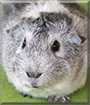 Name:  large.jpg
Views: 184
Size:  11.4 KB