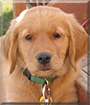 Name:  large (1).jpg
Views: 182
Size:  12.5 KB
