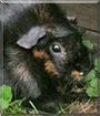 Name:  large.jpg
Views: 251
Size:  11.0 KB