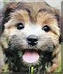 Name:  large.jpg
Views: 468
Size:  14.0 KB