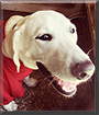Name:  large (1).jpg
Views: 143
Size:  13.1 KB