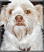 Name:  large.jpg
Views: 199
Size:  12.7 KB