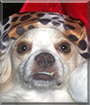 Name:  large.jpg
Views: 177
Size:  11.6 KB