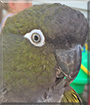 Name:  large (1).jpg
Views: 249
Size:  11.9 KB