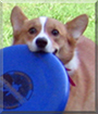 Name:  large.jpg
Views: 168
Size:  11.9 KB