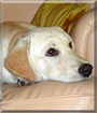 Name:  large.jpg
Views: 239
Size:  12.3 KB