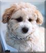 Name:  large.jpg
Views: 245
Size:  11.5 KB