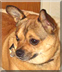 Name:  large (1).jpg
Views: 172
Size:  12.7 KB