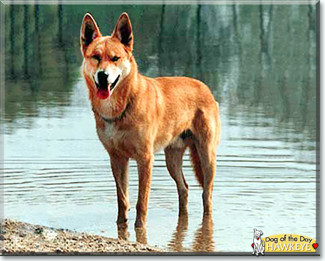Name:  01 (1).jpg
Views: 158
Size:  212.1 KB