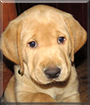 Name:  large.jpg
Views: 133
Size:  12.2 KB