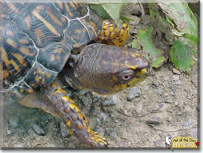Name:  04.jpg
Views: 197
Size:  155.1 KB