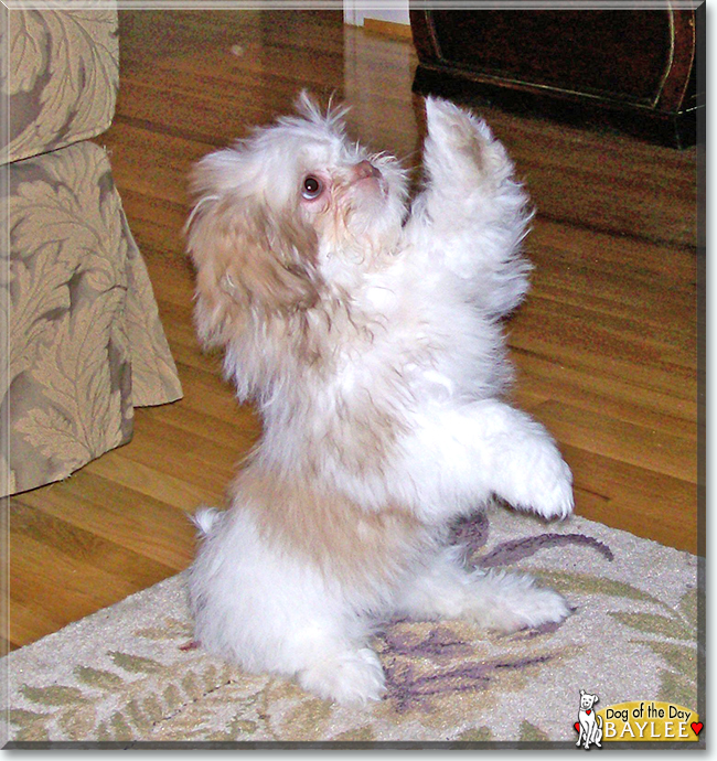 Name:  05.jpg
Views: 82
Size:  419.2 KB