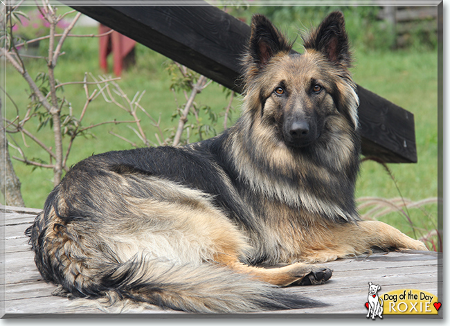 Name:  06b.jpg
Views: 123
Size:  273.4 KB