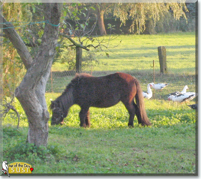 Name:  06.jpg
Views: 204
Size:  375.7 KB