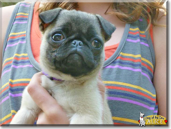 Name:  10.jpg
Views: 377
Size:  219.3 KB