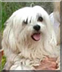 Name:  large (1).jpg
Views: 272
Size:  9.8 KB