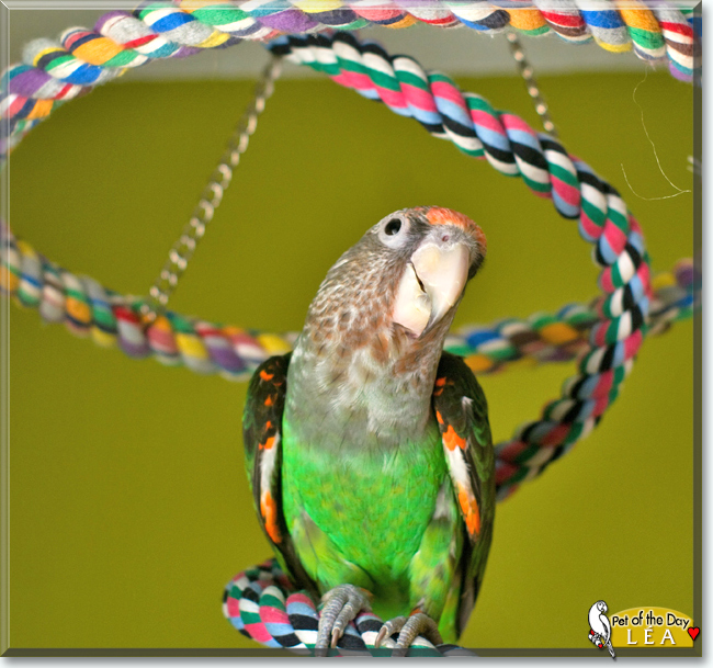 Name:  13.jpg
Views: 290
Size:  272.3 KB