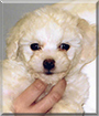 Name:  large.jpg
Views: 143
Size:  11.6 KB