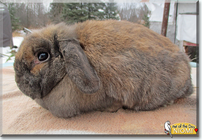 Name:  14.jpg
Views: 380
Size:  275.2 KB