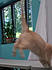 Click image for larger version. 

Name:	creamnaked.jpg 
Views:	111 
Size:	48.0 KB 
ID:	61818